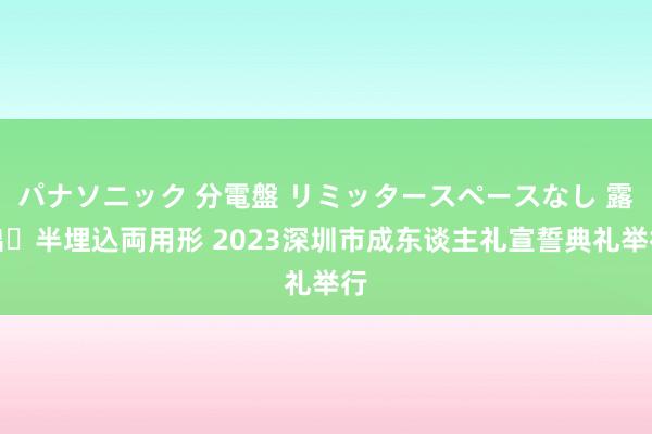 パナソニック 分電盤 リミッタースペースなし 露出・半埋込両用形 2023深圳市成东谈主礼宣誓典礼举行