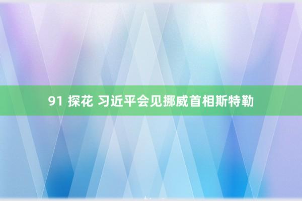 91 探花 习近平会见挪威首相斯特勒