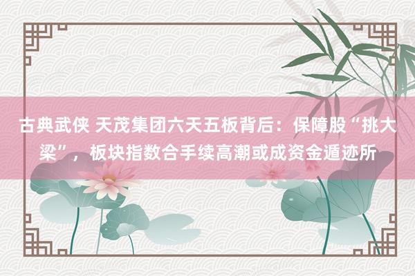 古典武侠 天茂集团六天五板背后：保障股“挑大梁”，板块指数合手续高潮或成资金遁迹所