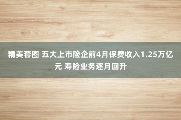 精美套图 五大上市险企前4月保费收入1.25万亿元 寿险业务逐月回升