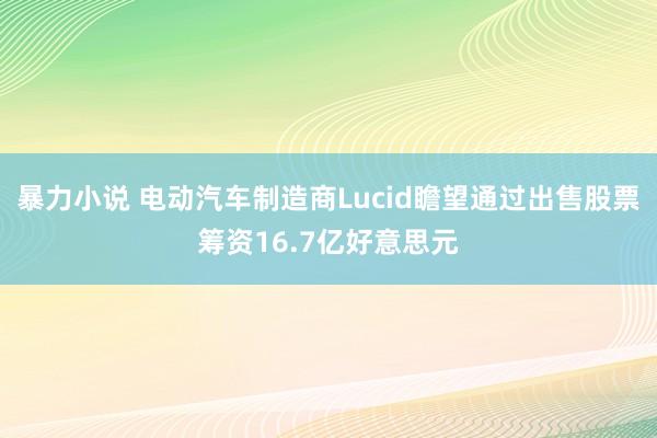 暴力小说 电动汽车制造商Lucid瞻望通过出售股票筹资16.7亿好意思元