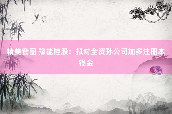 精美套图 豫能控股：拟对全资孙公司加多注册本钱金