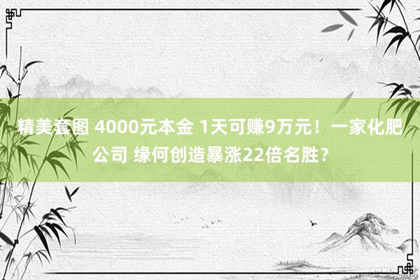 精美套图 4000元本金 1天可赚9万元！一家化肥公司 缘何创造暴涨22倍名胜？