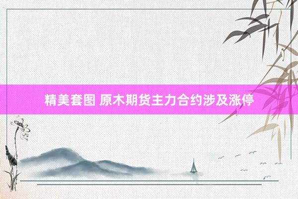 精美套图 原木期货主力合约涉及涨停