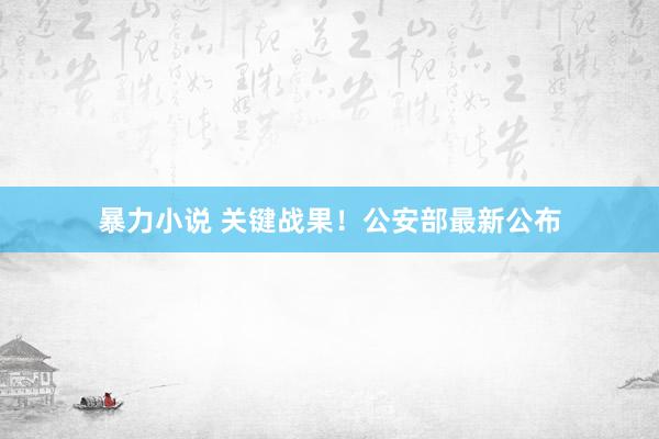暴力小说 关键战果！公安部最新公布