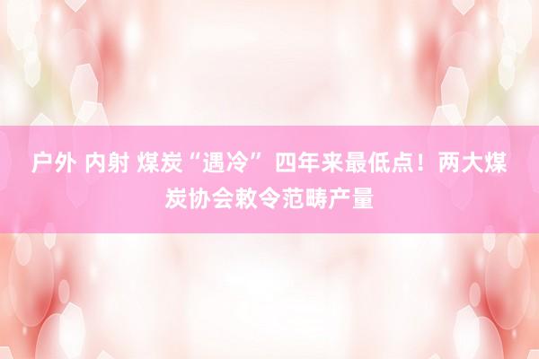 户外 内射 煤炭“遇冷” 四年来最低点！两大煤炭协会敕令范畴产量