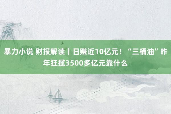 暴力小说 财报解读｜日赚近10亿元！“三桶油”昨年狂揽3500多亿元靠什么